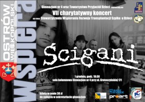 plakat_kolor