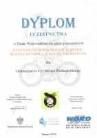 dyplom Piotrek (Kopiowanie)