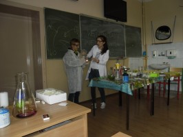 SAM_1089