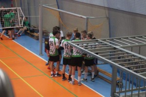 image (6)