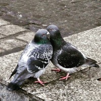 IMG_20160319_134525