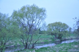Łużyce 1945 048