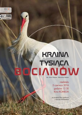 bociany_af_net