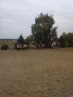 IMG_20160930_112942